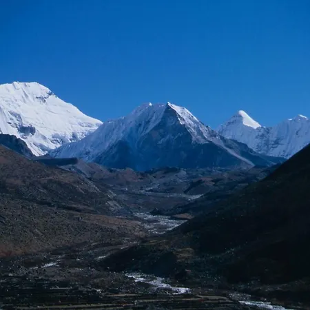 Laver شقة ايشجل